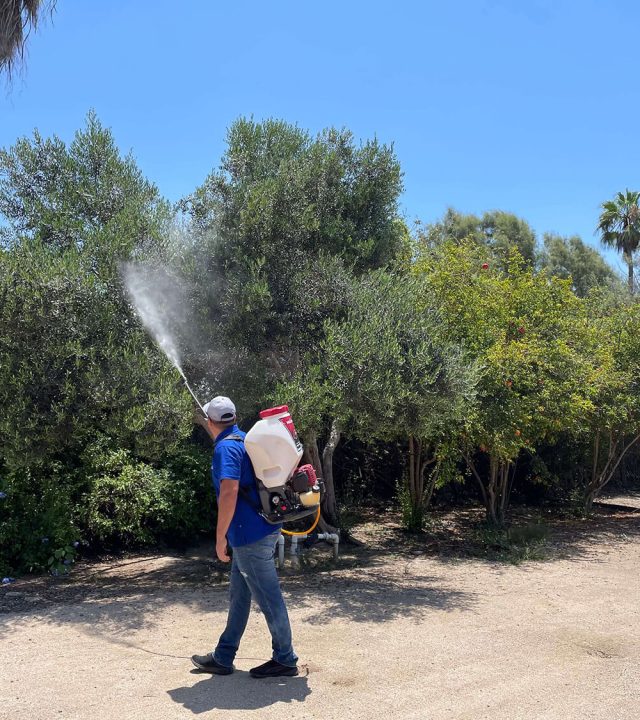 D8E87AD3-BBD2-447B-99BA-48580332455D_-_Giovanni_Carreon_Cota